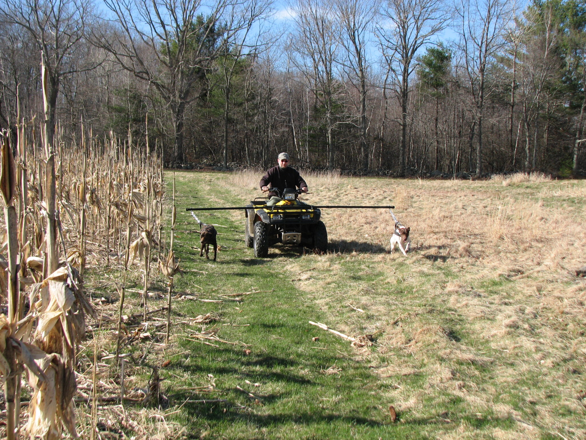 Dog Training Quail Ridge Kennels