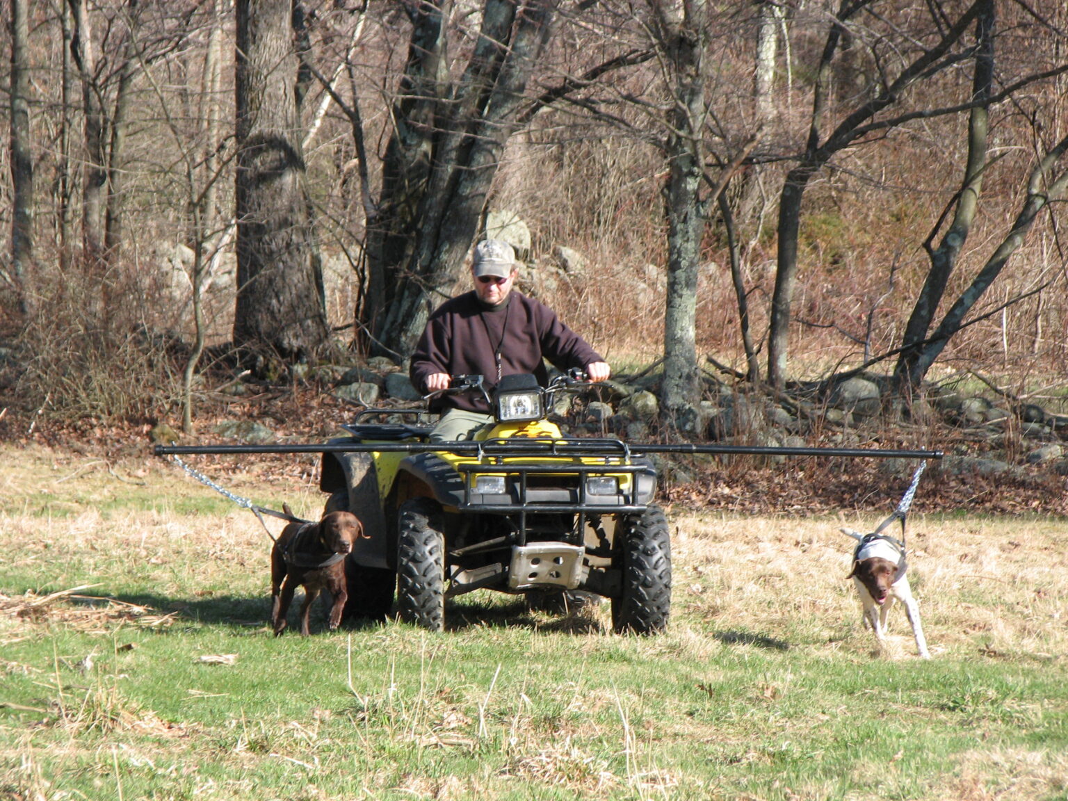 Dog Training Quail Ridge Kennels
