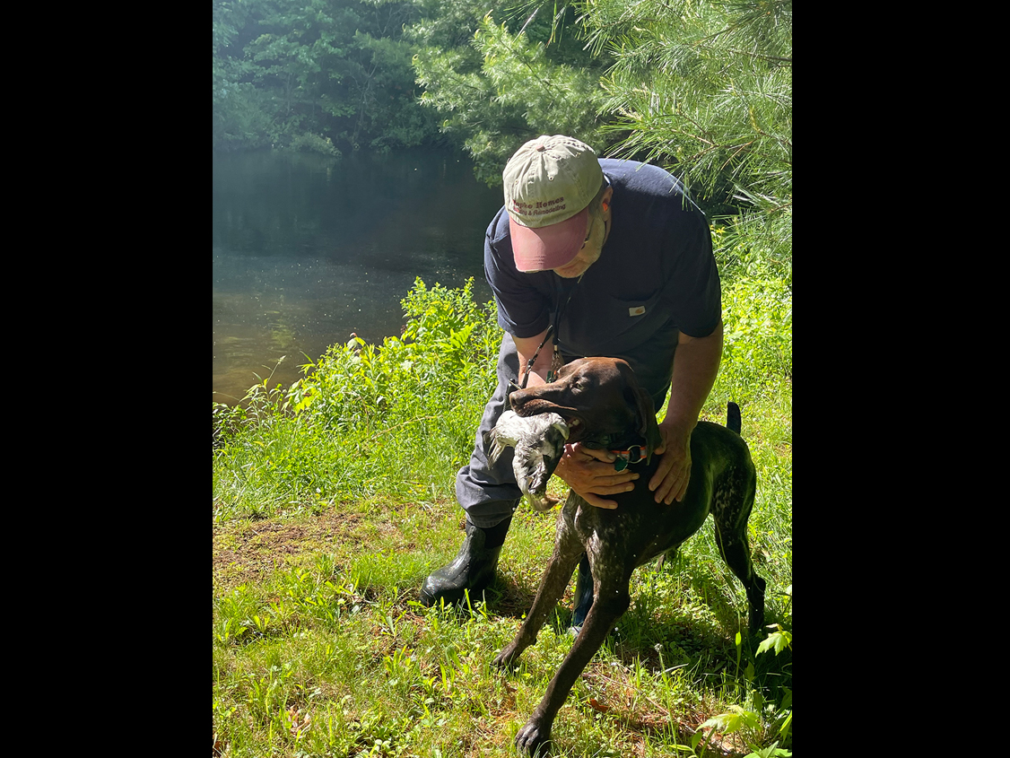 Dog Training Quail Ridge Kennels